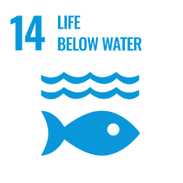 Life below water graphic