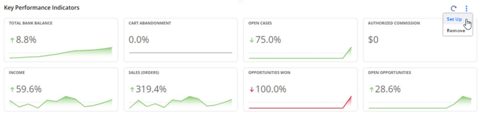 Oracle Netsuite KPI widgets