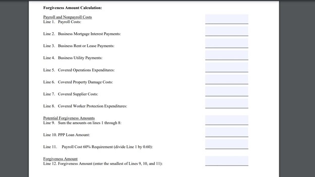 SBA Form 3508EZ