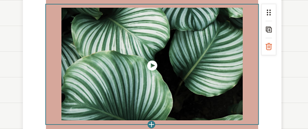 Mailchimp plant header