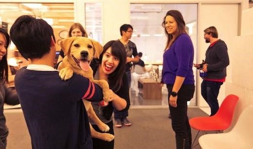 Picture of coworkers at office party and one with a puppy.