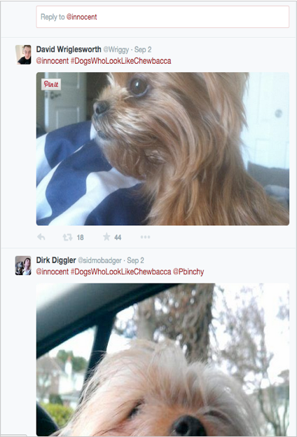 Dogs that look like Chewbacca