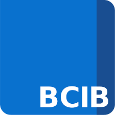 BackgroundChecksInBulk.com Review